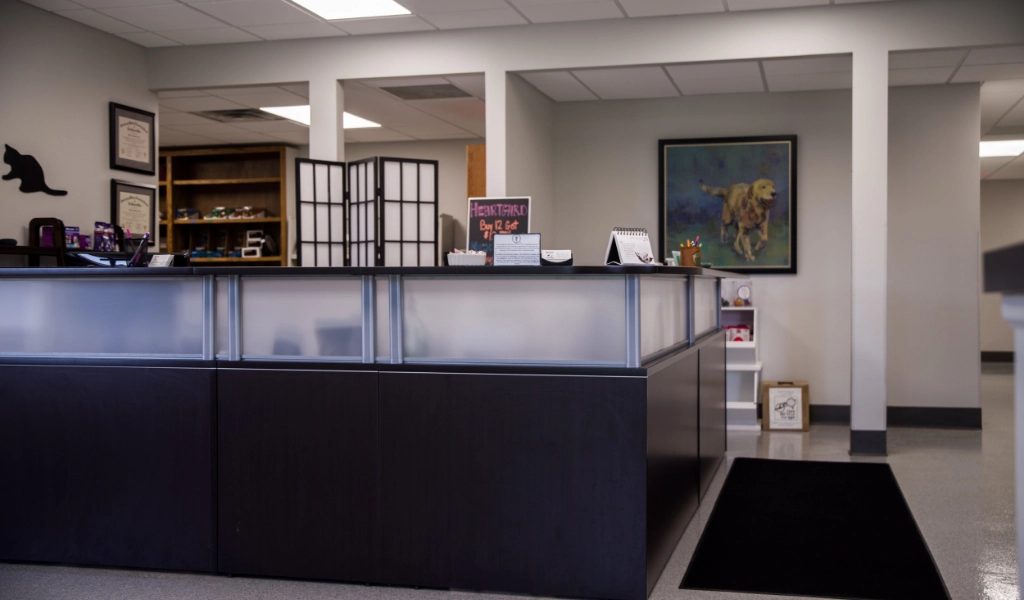 Mad River Veterinary Hospital Interior Welcome Desk