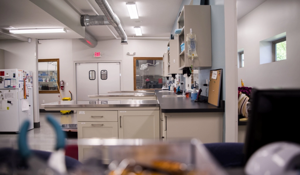 Mad River Veterinary Hospital Interior treatment area
