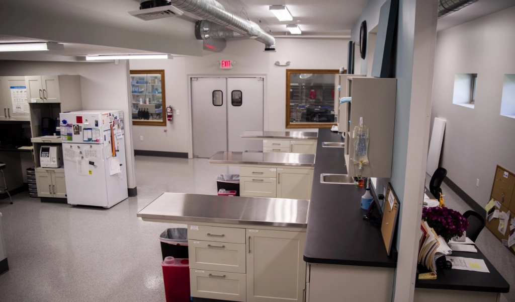 Mad River Veterinary Hospital Interior treatment area