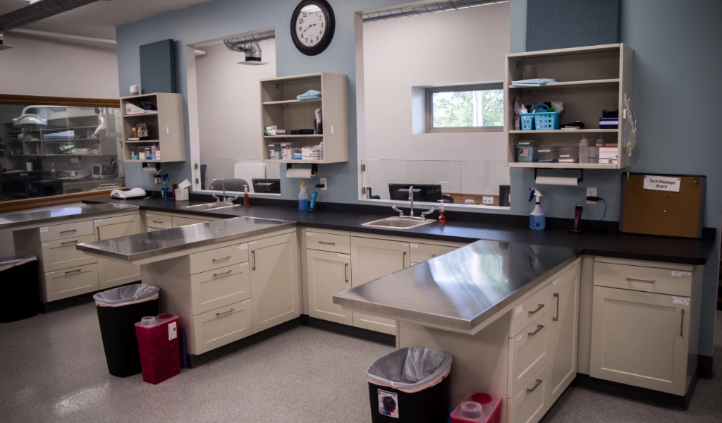Mad River Veterinary Hospital Interior treatment area