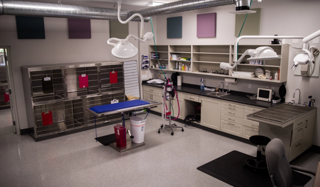 Mad River Veterinary Hospital Interior treatment area
