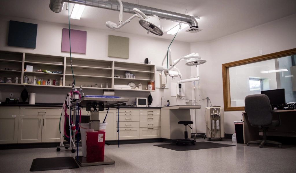 Mad River Veterinary Hospital Interior treatment and surgery area