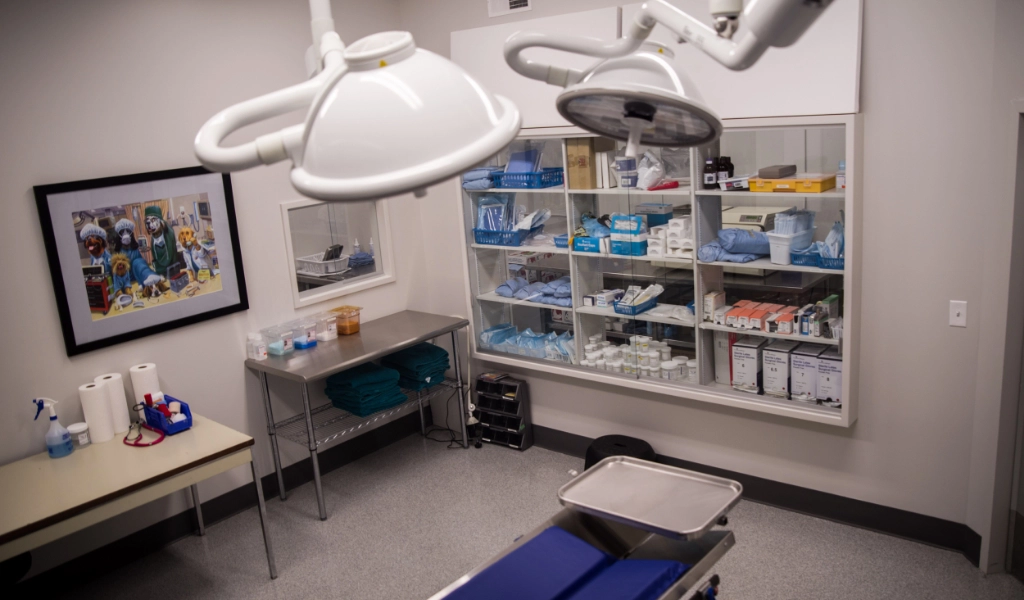 Mad River Veterinary Hospital Interior treatment and surgery area