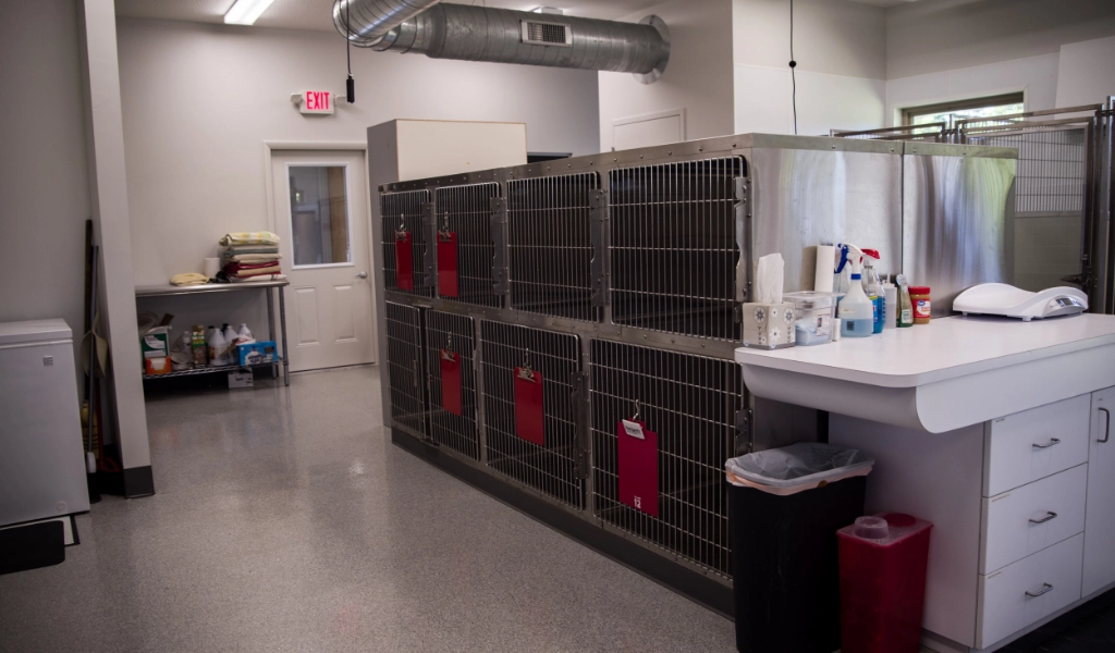 Mad River Veterinary Hospital Interior treatment area