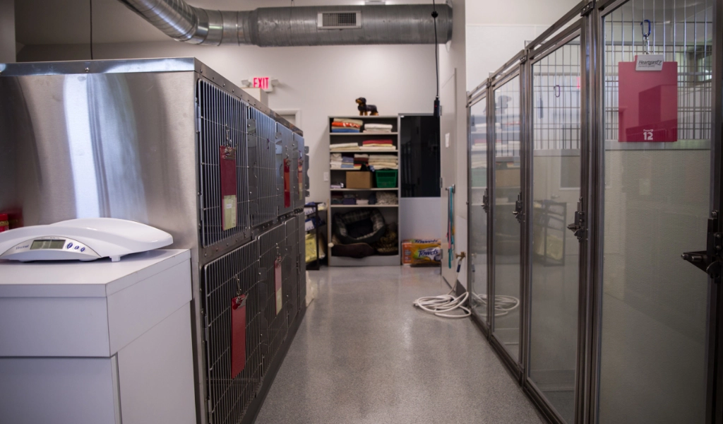 Mad River Veterinary Hospital Interior treatment area