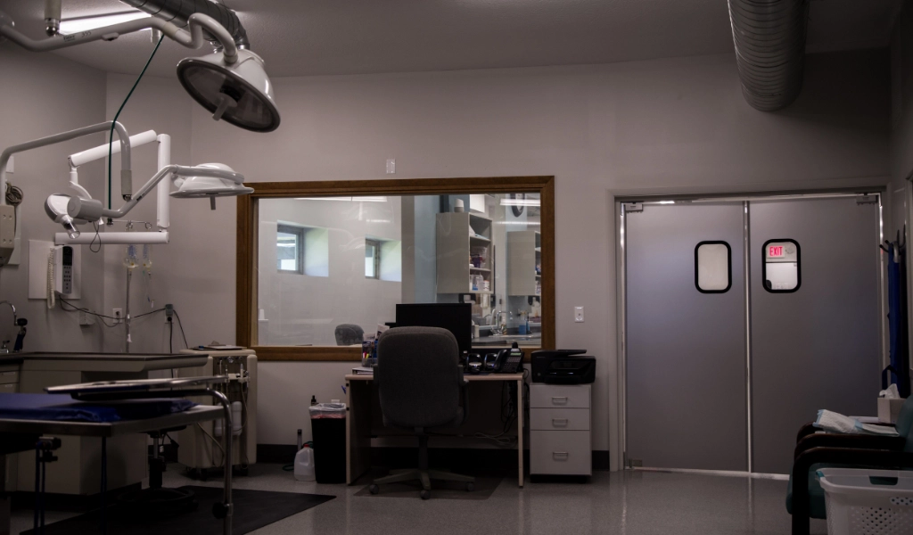 Mad River Veterinary Hospital Interior treatment area
