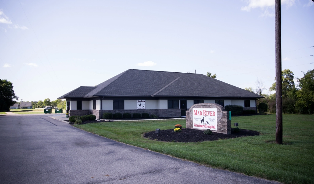 Mad River Veterinary Hospital Exterior