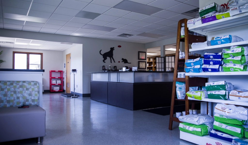 Mad River Veterinary Hospital Interior Check in Desk