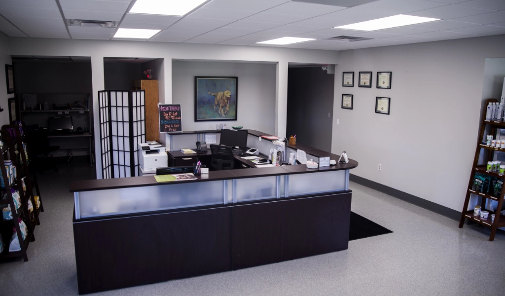 Mad River Veterinary Hospital Interior Welcome Desk