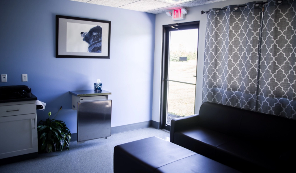 Mad River Veterinary Hospital Interior Waiting Area