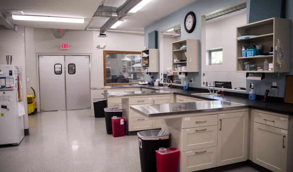 Mad River Veterinary Hospital Interior treatment area